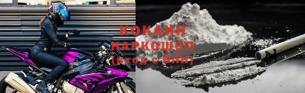 твердый Абаза